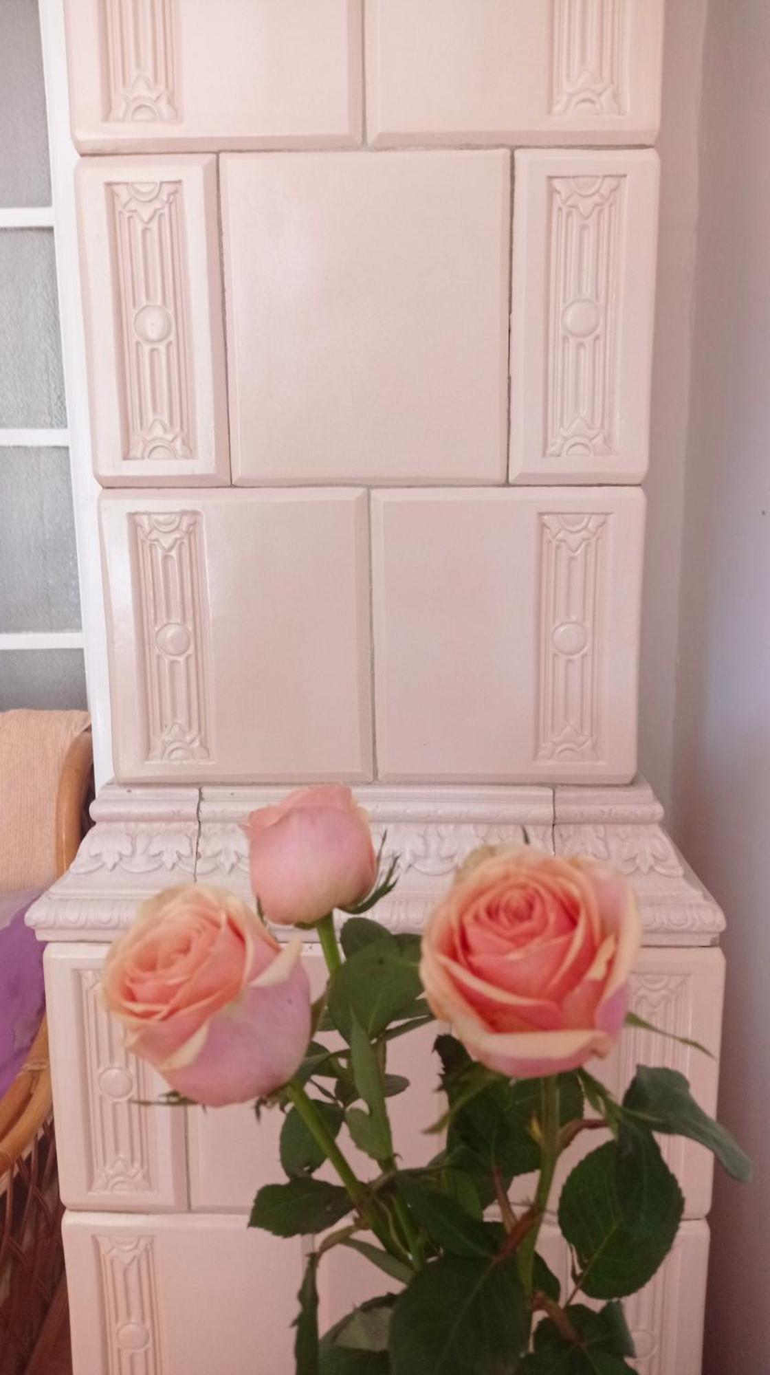 Belgrade Apartment Happy Garden 외부 사진