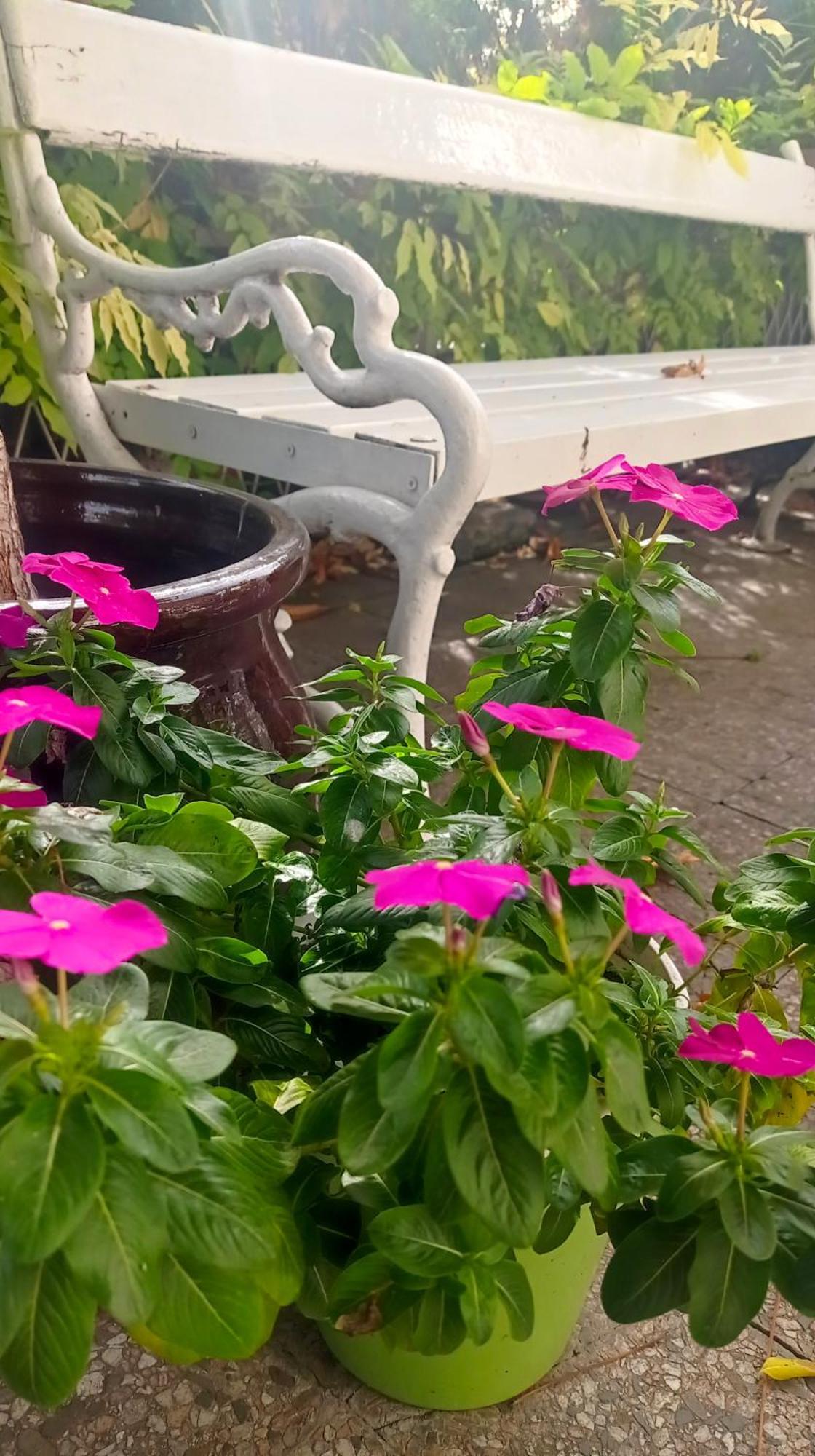 Belgrade Apartment Happy Garden 외부 사진