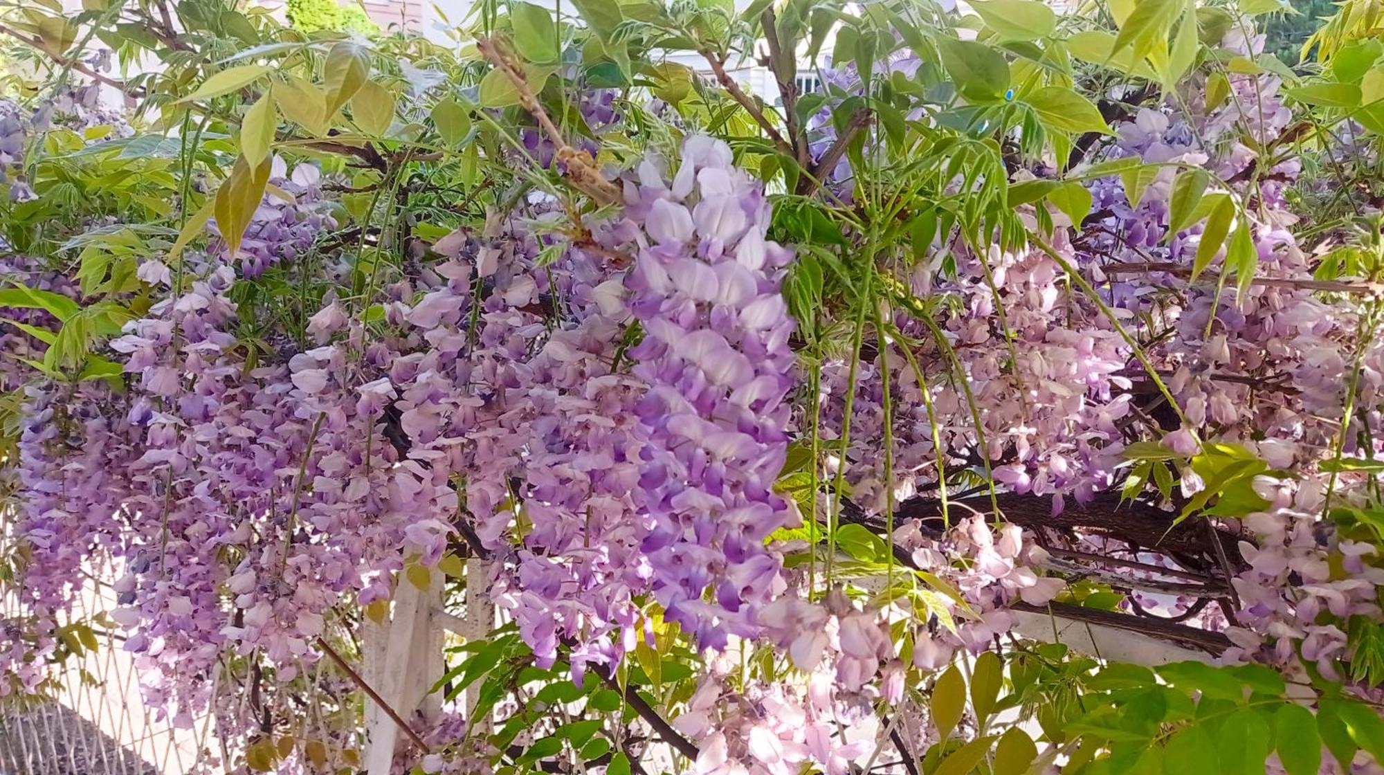 Belgrade Apartment Happy Garden 외부 사진